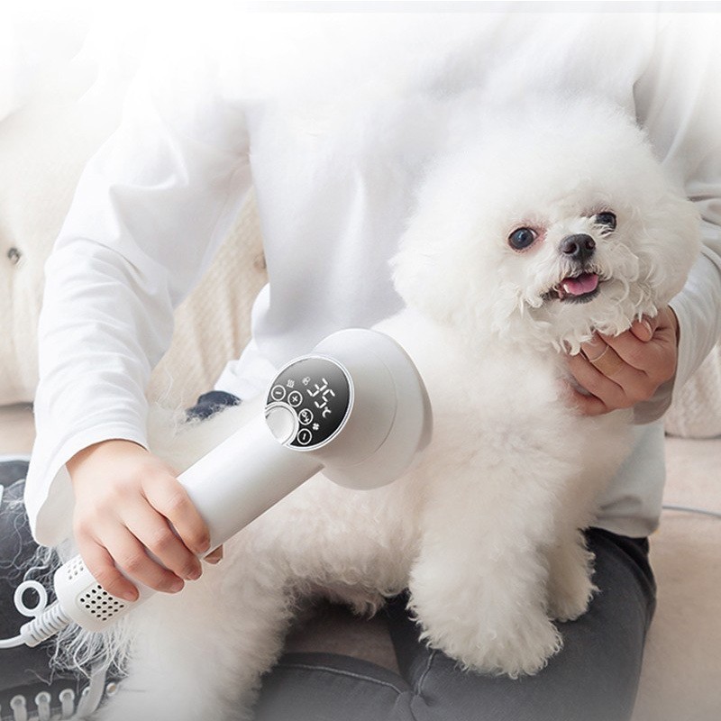 Smart Pet Hair Dryer Dog Golden Retriever Cat Grooming Hairdressing Blow &amp; Comb Silent No Harm Pet Cleaning Supplies Pet Products - image 2