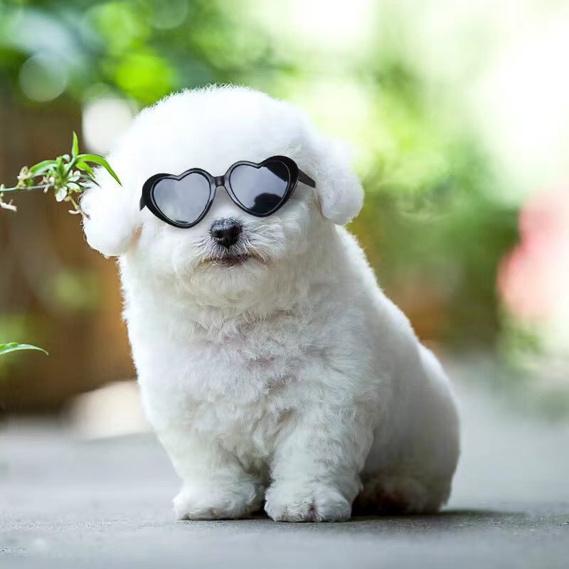 Doll Sunglasses Pet Toy Accessories - image 4