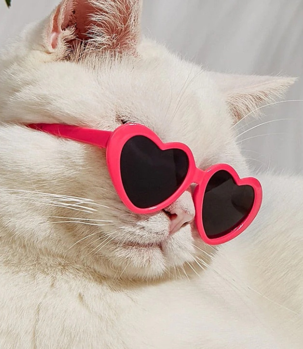 Doll Sunglasses Pet Toy Accessories - image 6