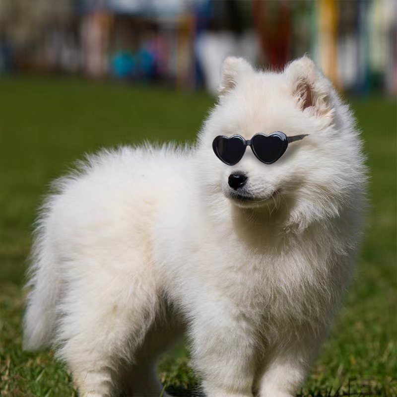 Doll Sunglasses Pet Toy Accessories - image 3